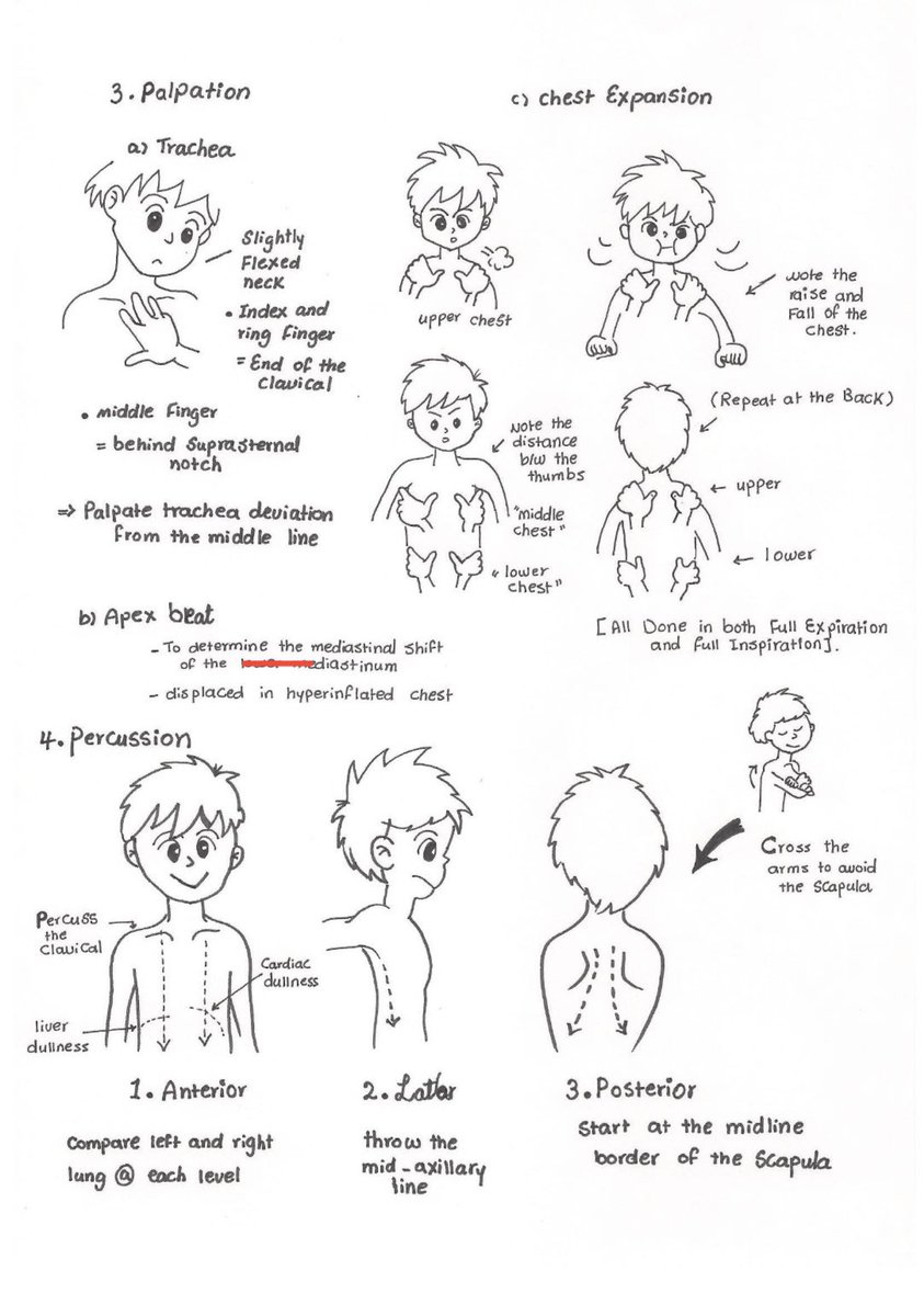 Medical_MD1's tweet image. Great Recap  ✨

Respiratory Examination 🤩🫁

.