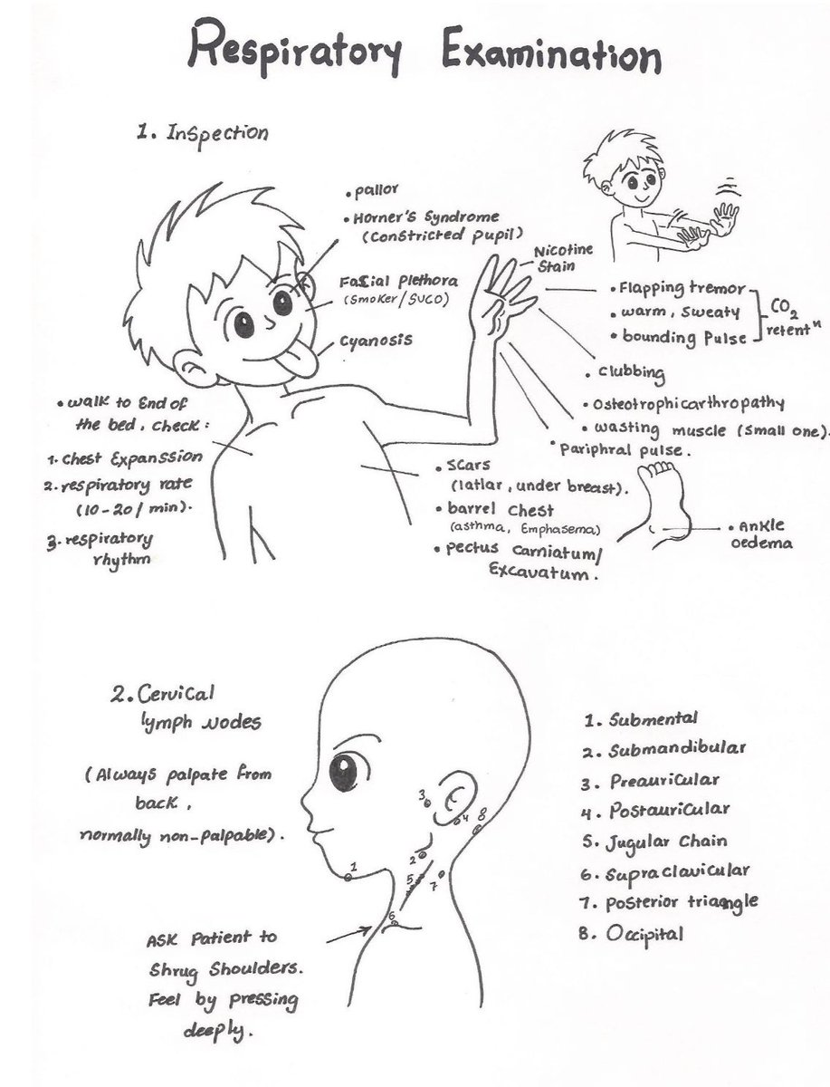 Medical_MD1's tweet image. Great Recap  ✨

Respiratory Examination 🤩🫁

.