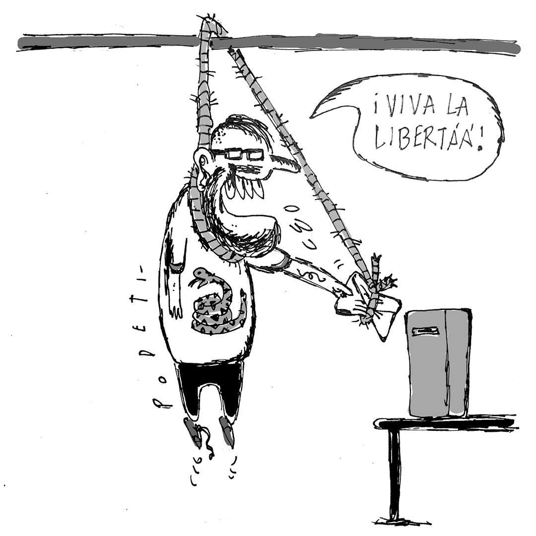 SebaPandolfelli's tweet image. 