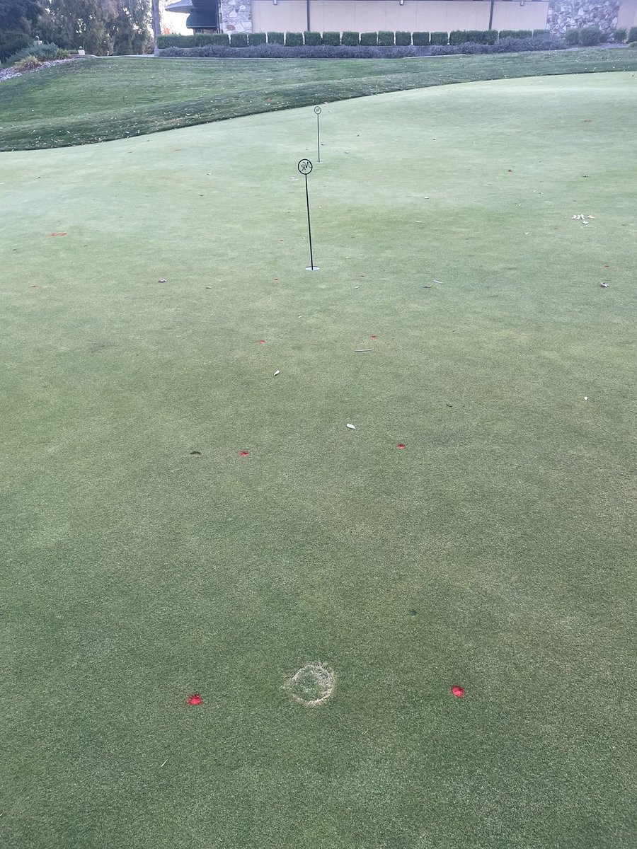 Final? app in 2-yr Poa control trial comparing spring v. fall v. spring & fall apps of @PoaCure & cumyluron. Proof will come in winter/spring when Poa more visible. 2 yrs of keeping cups outside of plots. That’s why I keep coming back to Larry Johnson & NRCC. Great cooperator.