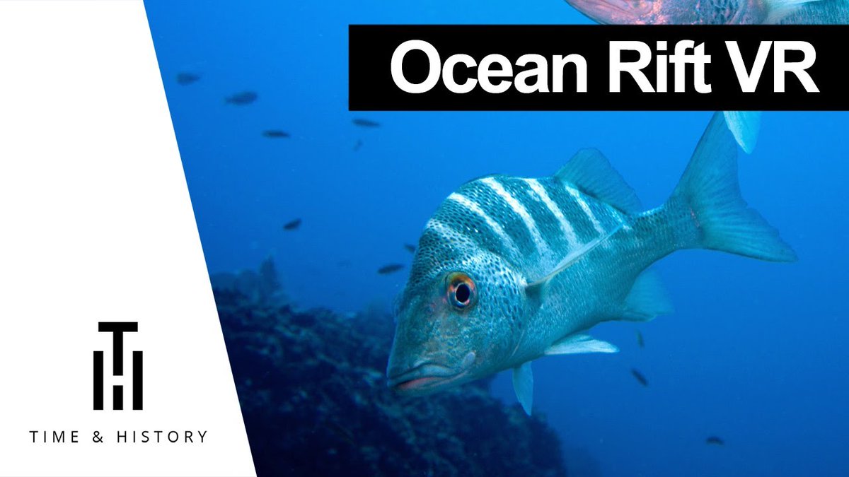 TimeAndHistory's tweet image. timeandhistory.com/ocean-rift/ - This month&apos;s featured VR documentary is @OceanRiftVR, an aquatic safari park for VR that let&apos;s you experience the depths of the ocean. Explore a vivid underwater world full of life. #virtualreality #vrexperience
