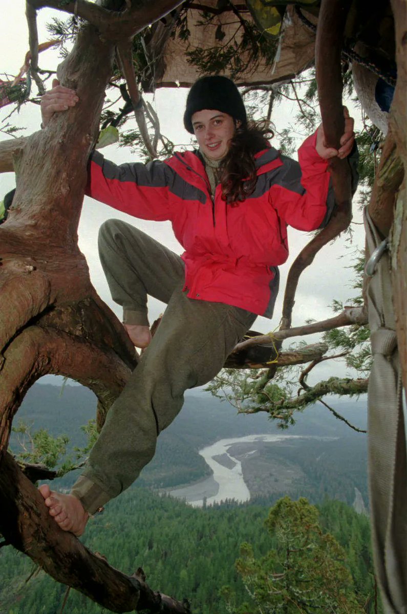 In 1997, Julia Hill initiated a protest within California's Redwood Forest to oppose logging activities. Her determination led to her residing on two elevated platforms for an astounding 738 days, enduring the challenges of tight spaces, gusty winds, rain, and even using the…