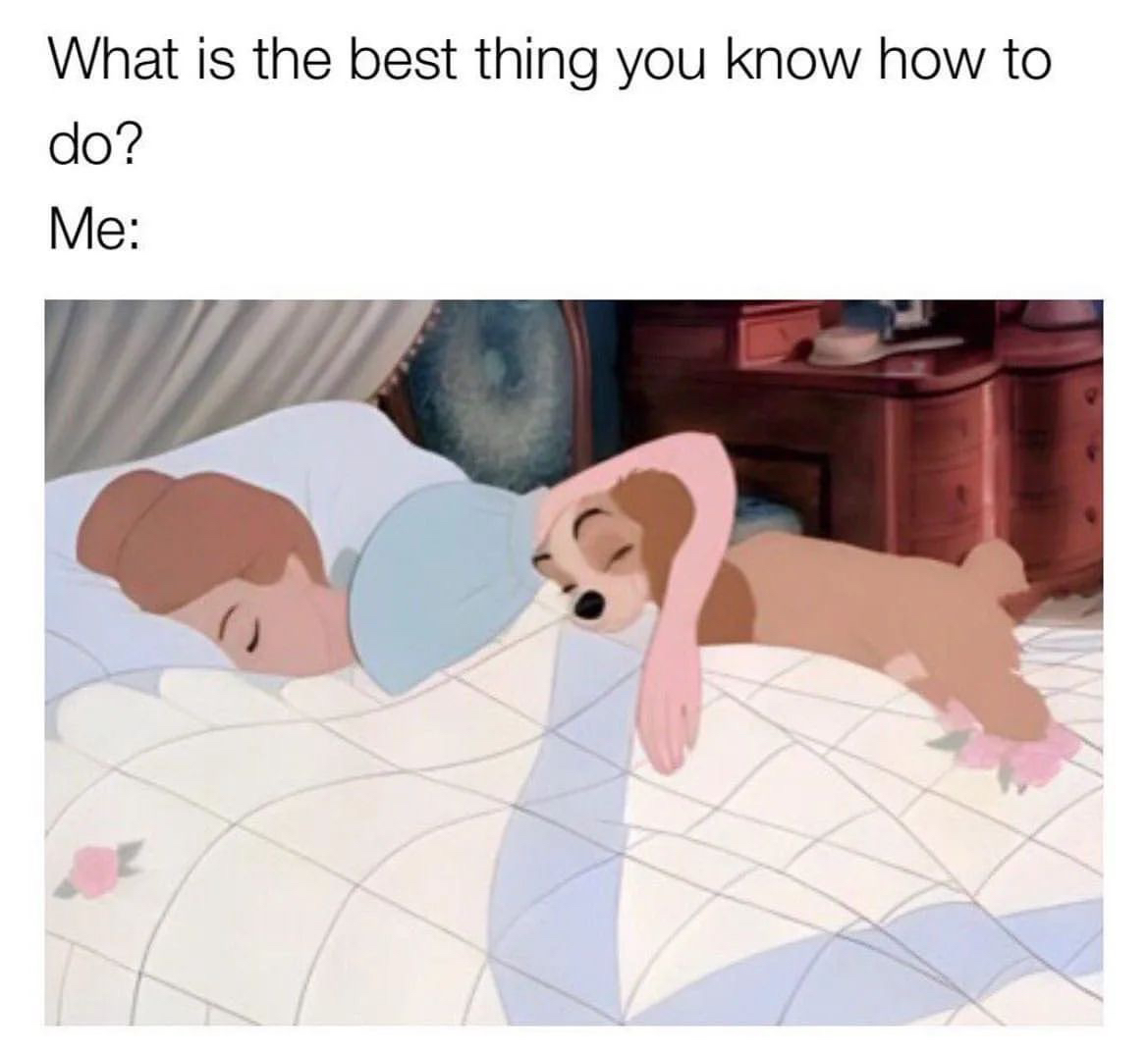 😂 It's Meme Monday 😂
Drop an emoji if you can relate 👇🏻​​​​​​​​
💖 ​​​​​​​​𝑀𝒶𝓀𝑒 𝓅𝑒𝓉 𝓁𝒾𝓋𝑒𝓈 𝒷𝑒𝓉𝓉𝑒𝓇 𝒾𝓃 𝐿𝒶𝓈 𝒱𝑒𝑔𝒶𝓈​​​​​​​​
🐾 Want more? Click the link in our bio! ​​​​​​​​​​​​​​​​​​​​​​​​
🥰 hosted by alexa the #mindfuldogmom