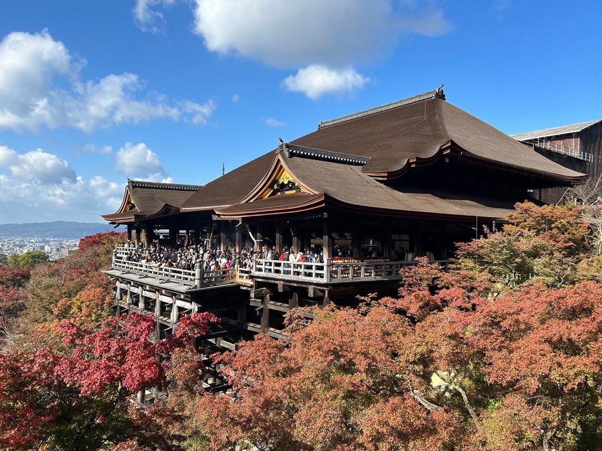 12BB_Lady2's tweet photo. 京都日帰り旅楽しすぎて幸せだった〜💐
行きの車で見れた大きな虹
清水寺と金閣寺と東寺の紅葉
義母さんのお誕生日をお祝いできて
本当に良かった〜！！！

素敵な誕生日プレゼントだよって言って貰えて良かった🎶
これから沢山頂いた食材との戦いが始まる😂 https://t.co/6UHYummIyG