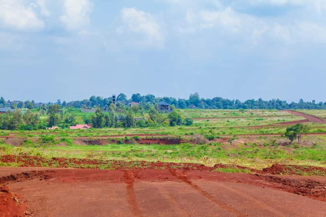 WinnieBaita's tweet photo. Experience 𝐀𝐟𝐟𝐨𝐫𝐝𝐚𝐛𝐥𝐞 𝐒𝐦𝐚𝐫𝐭 𝐋𝐢𝐯𝐢𝐧𝐠 𝐢𝐧 𝐑𝐮𝐢𝐫𝐮 with easy accessibility to CBD, JKIA, Eastern, Western bypass, and Thika road. 

𝐂𝐨𝐧𝐭𝐚𝐜𝐭: 𝟎𝟕𝟏𝟎𝟏𝟐𝟔𝟏𝟐𝟑

#primeplots #RiverlineRidges #realestate #KCPE #NHIF #Ruiruplots #finscoafrica #Ruiru https://t.co/SZmaj1dXv8