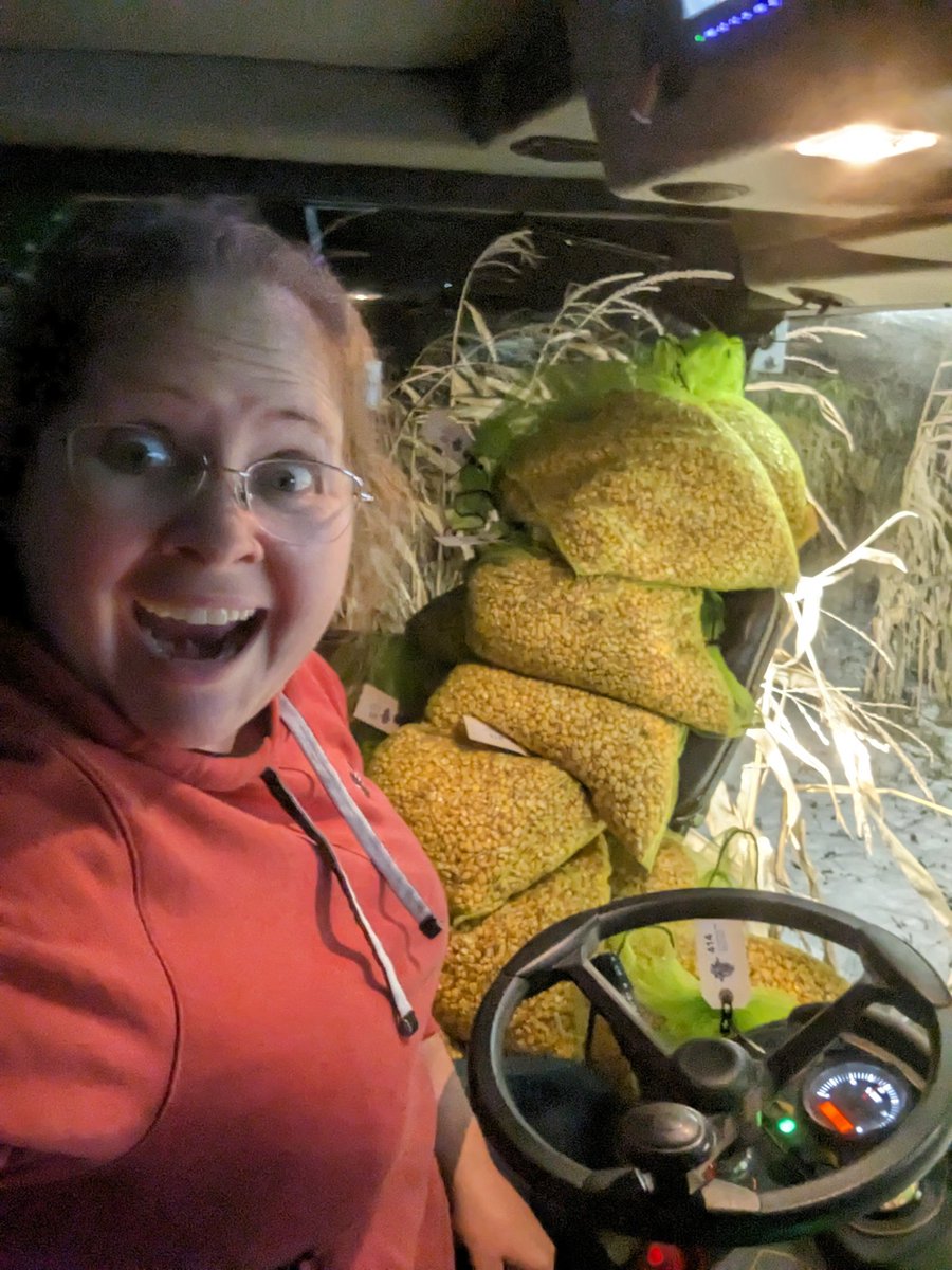 mindyinthedirt's tweet photo. Last plot of our #corn variety trial!
One more trial to go!
#harvest23 #ocrcnl #WeGotThis #GoCorn #ItsCorn #researchnorth #MyToesAreSoCold https://t.co/4Eh37noRQM