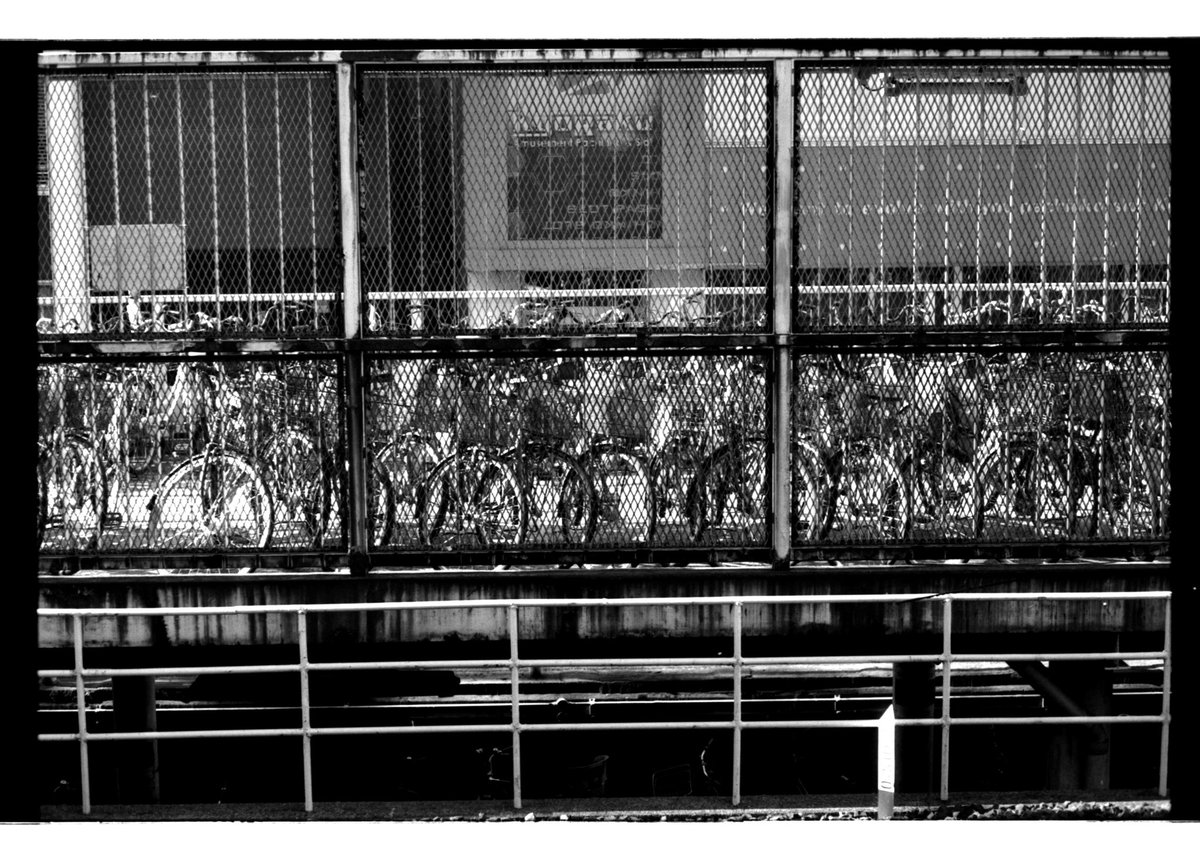 dobdobrock's tweet photo. #35mm
#thecitymag
#filmstreetphotos
#film
#japan
#leicam6
#leica
#elmar50
#フィルム
#ライカ
#うえろくカメラ https://t.co/G5ywL2Q0H9