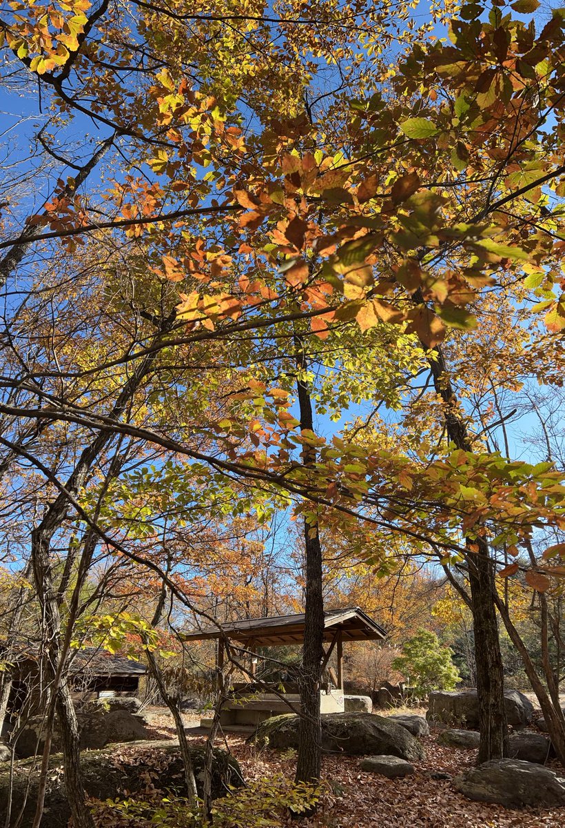 dokocamp's tweet photo. 幕内を軽く片付けて、温泉♨️へ行ってきまーす。 https://t.co/obSicW7qxN