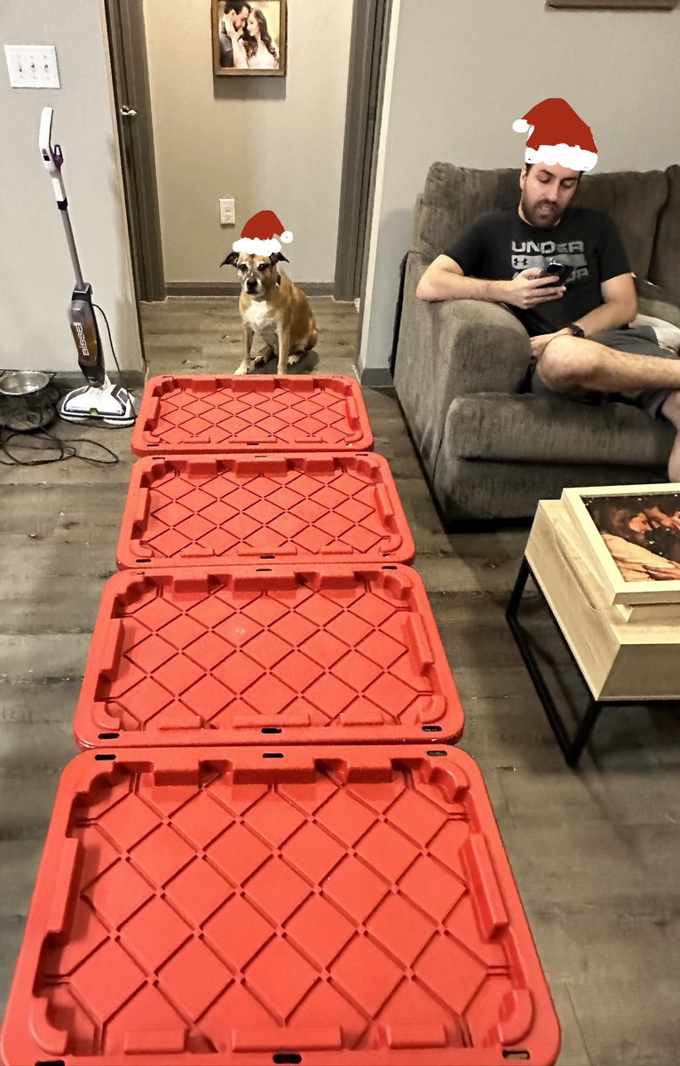 BonsaiBride's tweet image. It is time 🎄 @BonsaiBroz is radiating Christmas spirit