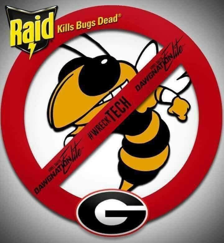 SweetCarolineCH's tweet image. #GoDawgs #WreckTech