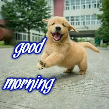 Petsnew2210's tweet photo. https://t.co/i7WshIRTz6