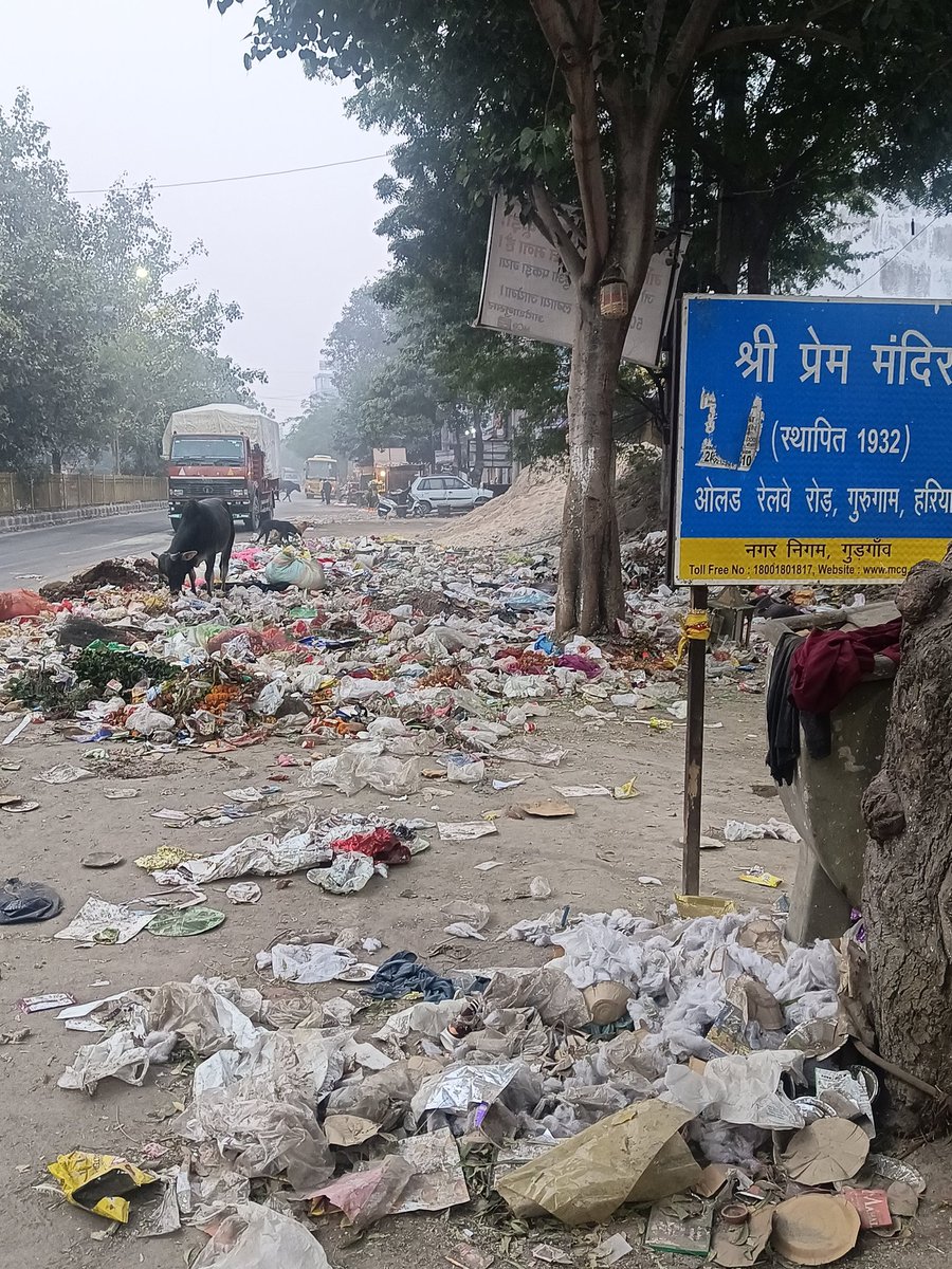 JiteshModi6's tweet photo. Situation near Prem Mandir, Old  Railway Road, Gurgaon. Garbage lying on the road and cows consuming it. Kindly assign people to clean the area otherwise, this is leading to a mess for the environment &amp; for animals.@DC_Gurugram @MunCorpGurugram @cmohry @mlkhattar @TOIGurgaon https://t.co/x5L8aS3SjO