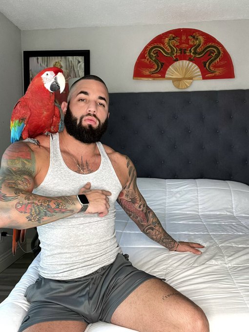 My first born 🫃🏻❤️ https://t.co/9U3OmboJDW<a href="/tag/newprofilepic"class="tags"><span>#newprofilepic</span></a>