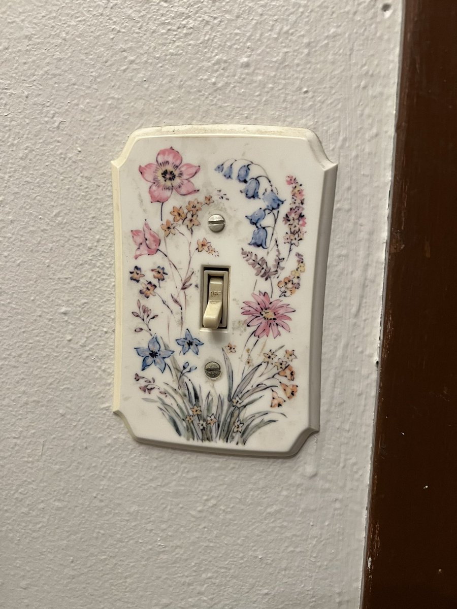 wait i need you all to look at this cunty lightswitch