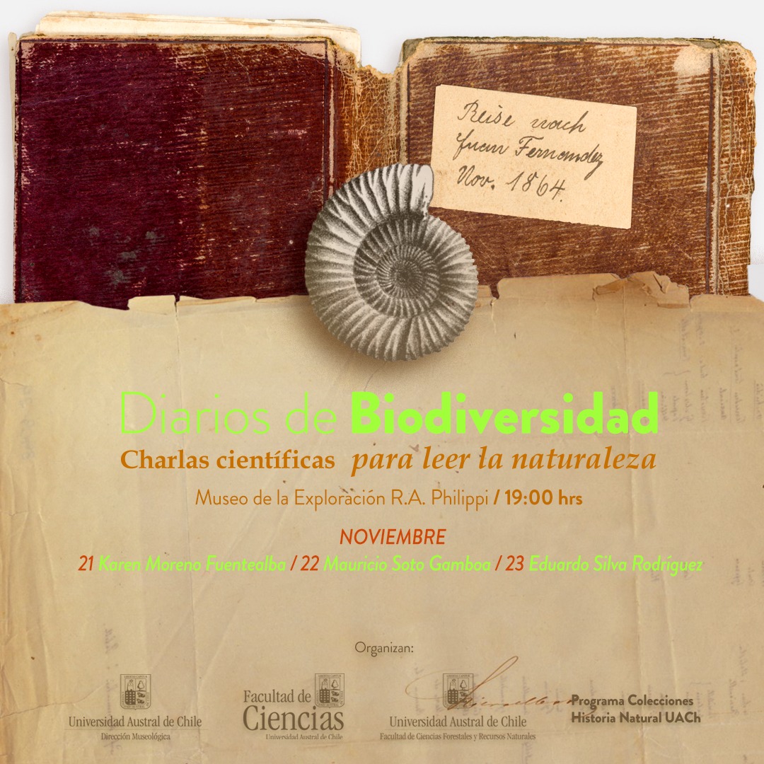 Nuevo ciclo de charlas DIARIOS DE BIODIVERSIDAD

20, 21 y 22 de noviembre a las 19 h en el Museo Philippi de la UACh.

#Valdivia #Valdiviacl