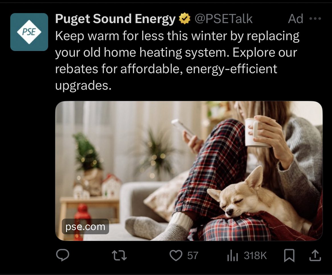 BirdRespecter's tweet photo. You must not be trying very hard then because it took me like 30 seconds to find nazi content, see a @PSETalk ad on it, then post this https://t.co/7UcaM78EGl