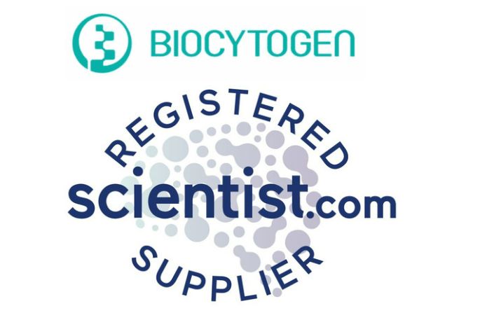 Request our services via Scientist.com! Tailored Humanized Model Generation👉biocytogen.com/animal-cell-mo… Gene Editing Expertise👉biocytogen.com/gene-editing/ Pharmacology Assistance👉biocytogen.com/efficacy-toxic… Antibody Discovery Services👉biocytogen.com/antibody-disco… #GeneTargeting