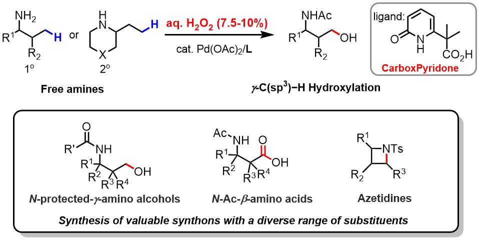 Yulab (@yulabjin) on Twitter photo Choosing TBHP for our first sp3 CH oxidation in 2003 was crazy enough <a href="/Giri_Research/">Ramesh Giri (रमेश गिरी)</a>, but never thought sustainable aq H2O2 is possible. Once again, Ligand is the magic: pubs.acs.org/articlesonrequ… Choosing TBHP for our first sp3 CH oxidation in 2003 was crazy enough <a href="/Giri_Research/">Ramesh Giri (रमेश गिरी)</a>, but never thought sustainable aq H2O2 is possible. Once again, Ligand is the magic: pubs.acs.org/articlesonrequ…