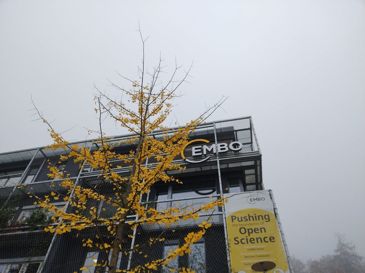 ania_karnkowska's tweet photo. ✨ Great week in Heidelberg! 🇩🇪 The Lab Leadership course and research visit to EMBL filled my days with inspiration. 🧠🌐 Thank you #EMBO for support! #LabLeadership #EMBL @LifeSciLearn https://t.co/mrAtKFZPrO