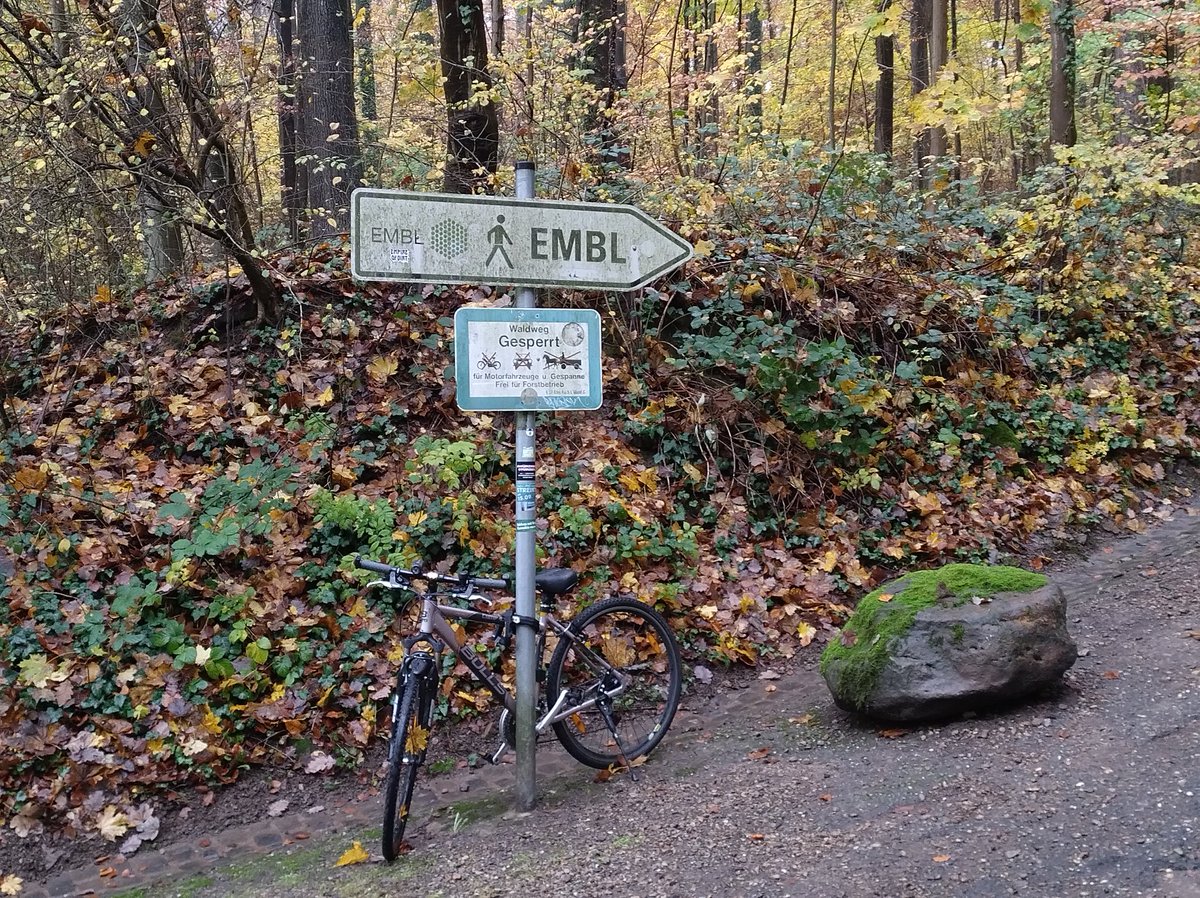 ania_karnkowska's tweet photo. ✨ Great week in Heidelberg! 🇩🇪 The Lab Leadership course and research visit to EMBL filled my days with inspiration. 🧠🌐 Thank you #EMBO for support! #LabLeadership #EMBL @LifeSciLearn https://t.co/mrAtKFZPrO