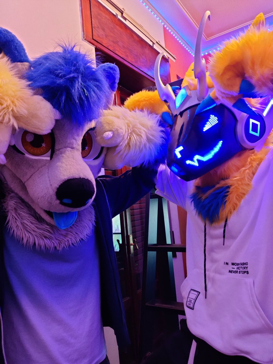 Protogen Fursuit Suit Up 