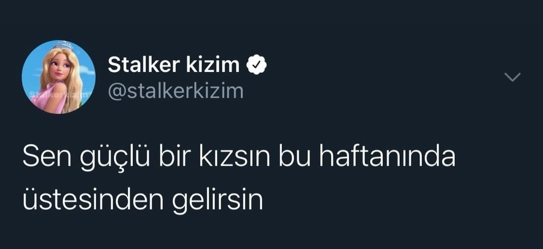 Vizenin 2. Haftasına başlıyorum