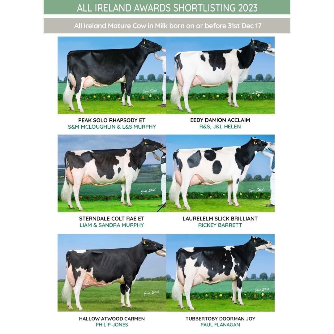 In the last few days we’ve had two nominations for the All Ireland awards!
Tubbertoby Haniko Joyus- yet to be classified in the Heifer in Milk 
&amp; 
Tubbertoby Doorman Joy- EX 92 2E in the Mature Cow

These two are grand mother and granddaughter
#dairy #dairyfarming