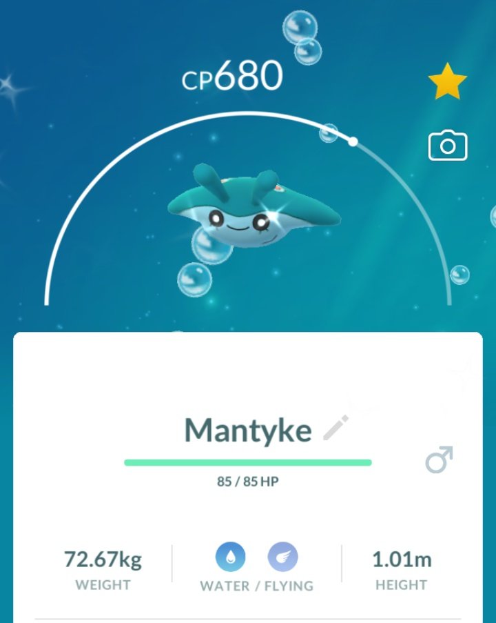 hatched this little guy today
