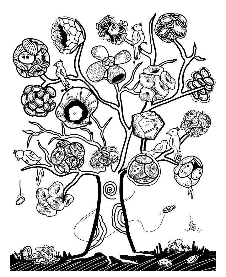 dntangunan's tweet photo. Coccolithophores
#sciart
#Doodles #colourme https://t.co/YqM0CoKtxl