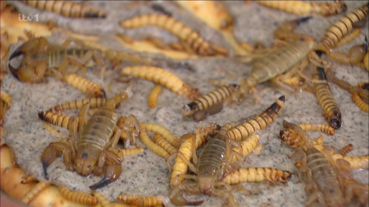 Nella is just hilarious 🤣 #ImACeleb #ImACelebrity