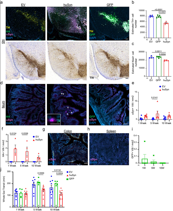 The Science of Parkinson's tweet media