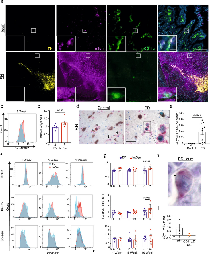 The Science of Parkinson's tweet media