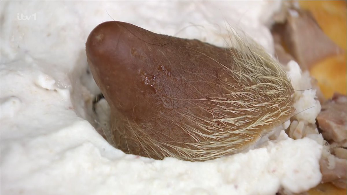 🤮 #ImACeleb #ImACelebrity