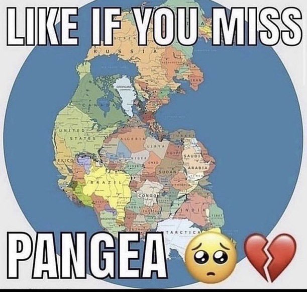 Leviathan tweet media