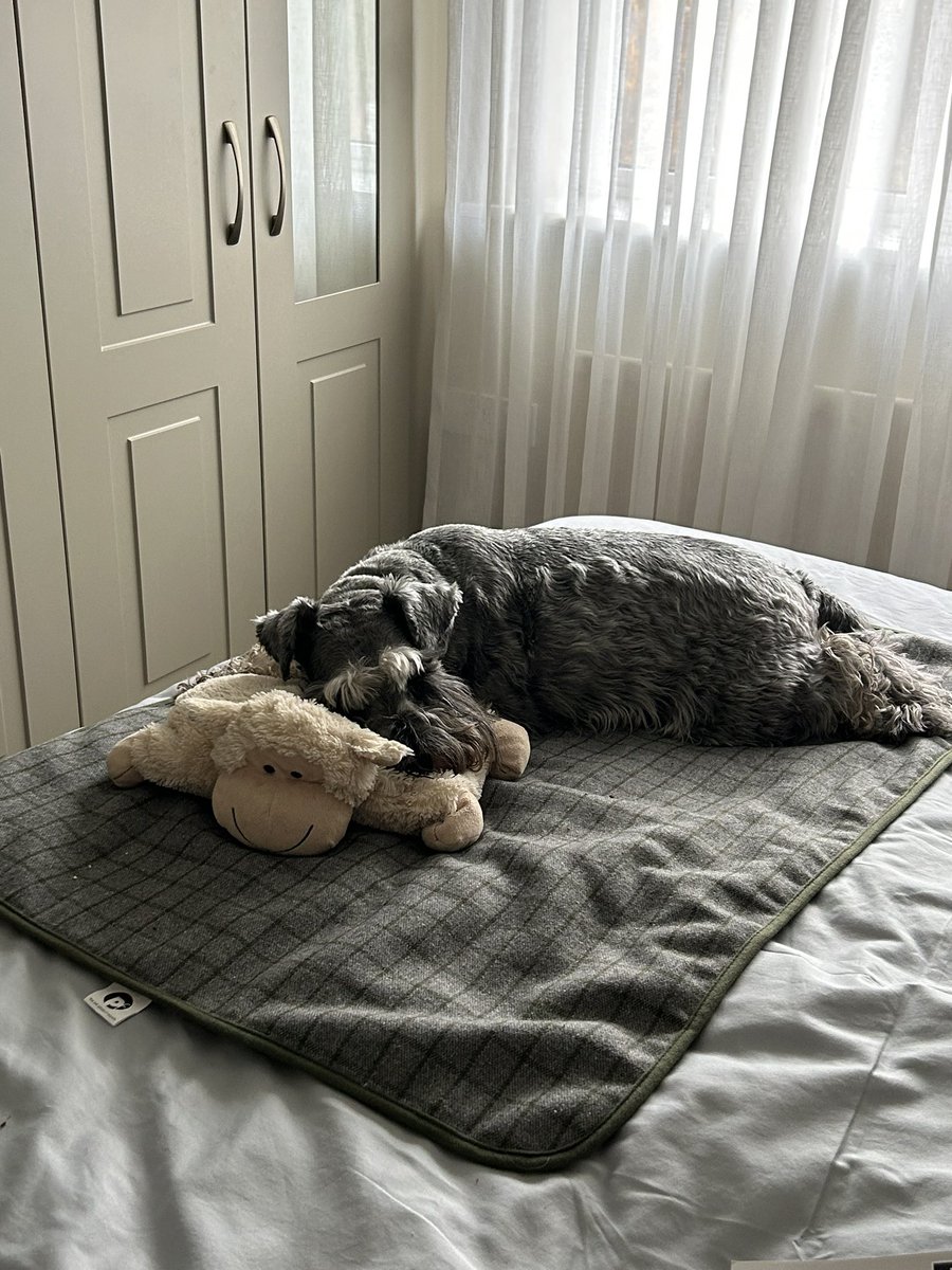 Triona Fortune (@trionafortune) on Twitter photo 