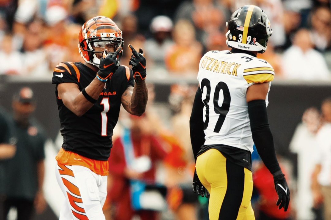 Thigpen72's tweet photo. The team I have the most hate for #FuckSteelers #WhoDey https://t.co/vcj5YYNoQz