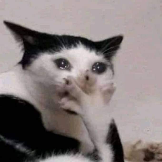 eleee73's tweet photo. Echaba tanto de menos ver los memes de Twitter durante las galas #OTGala0 #OT2023 https://t.co/MPJnFM7jhs