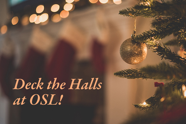 It's time to decorate Our  Savior’s for Christmas!

Come this Wednesday, November 22,  enjoy lunch at noon in The Gathering Place, and begin decorating at 12:30 p.m. throughout the afternoon. All are welcome, and there is a   job for everyone!

[Photo by Chad Madden on Unsplash.]