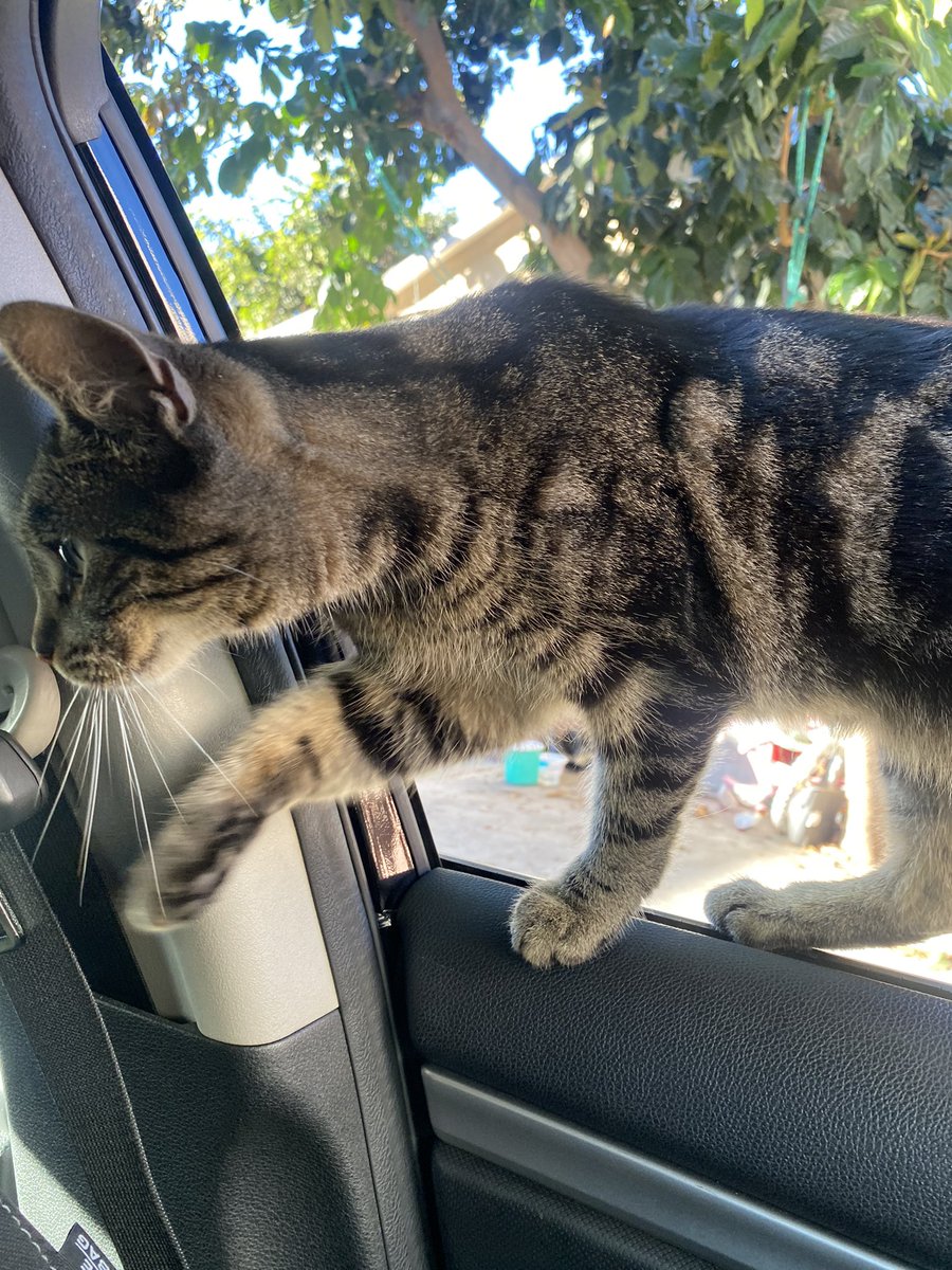 omgj (@omgjuana) on Twitter photo 