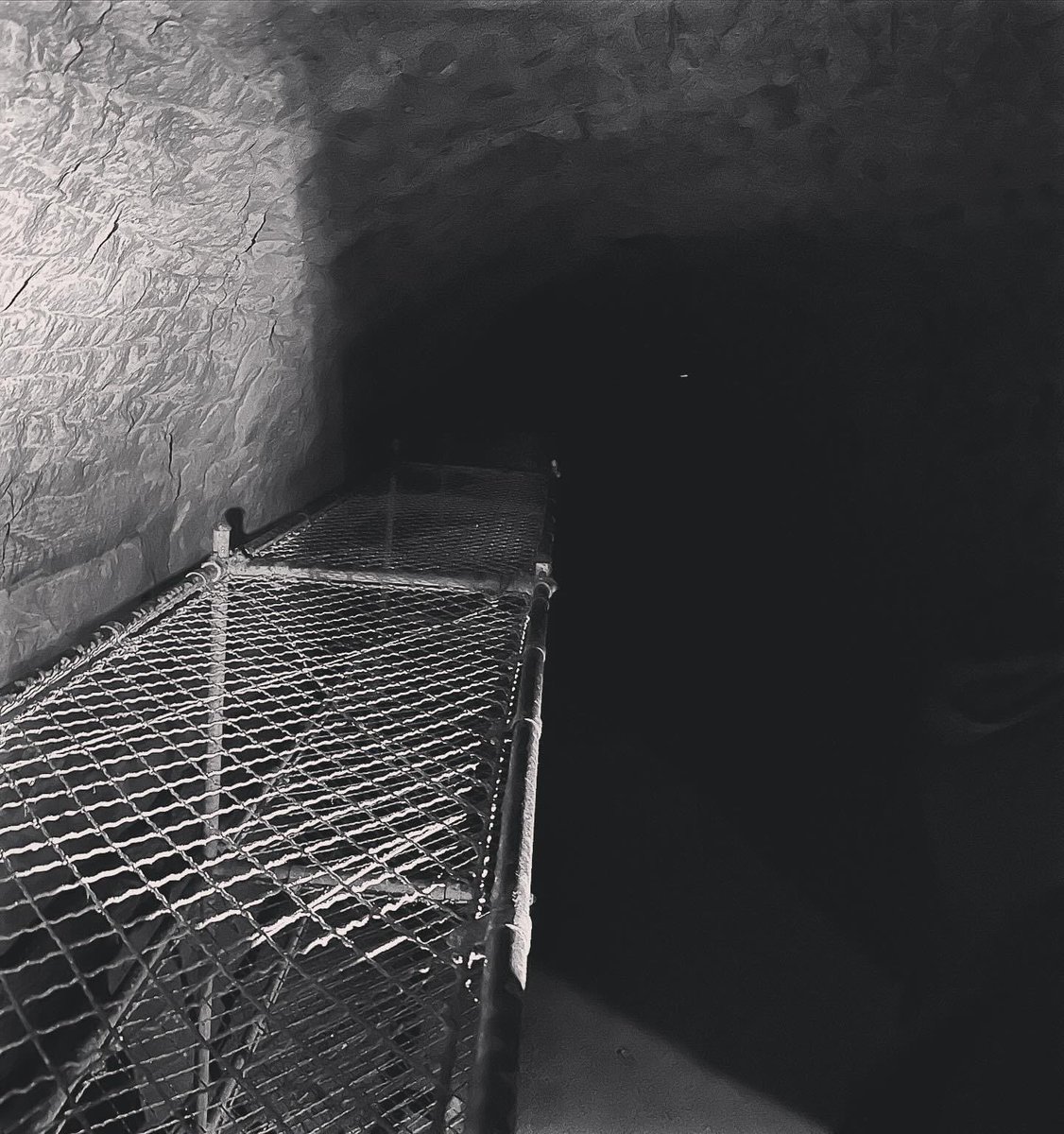 Marple Explorer Scout Unit tweet media