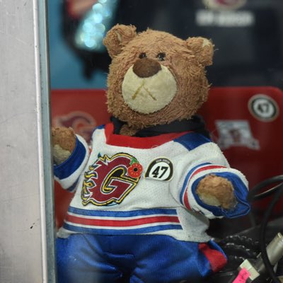maxdabear's tweet photo. #NewProfilePic https://t.co/KjUJr24N3s