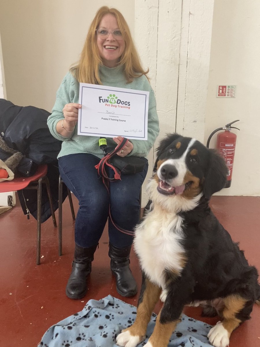 AlisonMossCI's tweet image. Proud! ❤️❤️ He does cause chaos, has no understanding of his size and creates a mess wherever he goes but look at him!   #6monthsold #bernesemountaindog