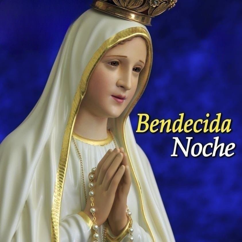 _*¡Buenas noches!*_

Terminemos el día agradeciendo a Dios y a nuestra Madre del Cielo y pidamos que sigan velando por nosotros y nuestras familias mañana y siempre.

*¡Oh Madre, bajo tu mirada descansamos en paz!*