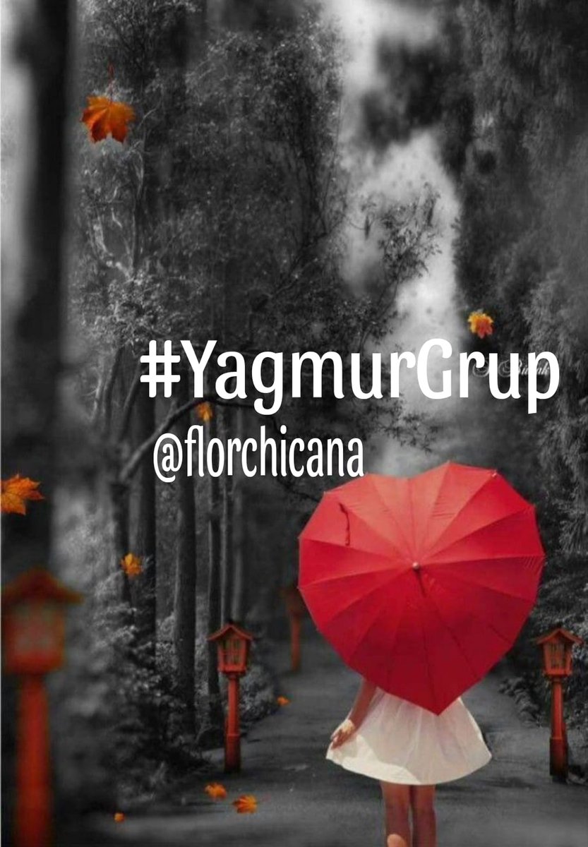 YAĞMUR GRUP ☔️ 🌂☂️☔️ @ygmr18_ ⛈️🌦️ @gssslm @_Glen72 @idrss_ @krnfil486 @Orhn_02 @bytk216 @Krklm @Muratqy @1yigidimaslanim @ercankusoglu @LivingTodayEver @farid10ahmadli @emreakan4 @florchicana @PskDilek @evrimdeniz2234 @kaandeyinn @BaKIMLIKuRT 🌸🖤