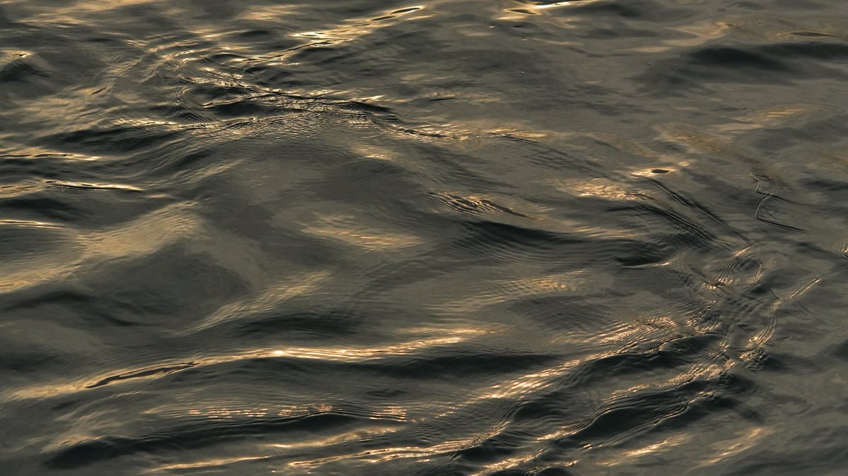 FototakerTony's tweet photo. When was the last time you enjoyed #watching #wavesofwater #glimmering in the #sunlight? SUNlight? We had #SUN today in @NiagaraFallsUSA? Really? #upperNiagaraRiver @NiagaraRegion @NiagaraTourism #aguaDErio #NiagaraRiver #BeautyofWater #seetheLight #NaturesBeauty https://t.co/VC7uFs8c0n