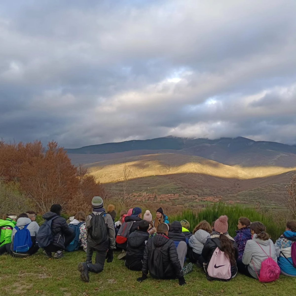 CEIP Las Matillas tweet media