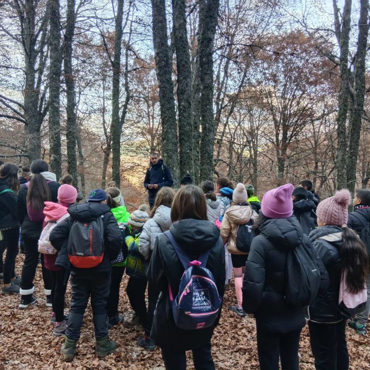 CEIP Las Matillas tweet media