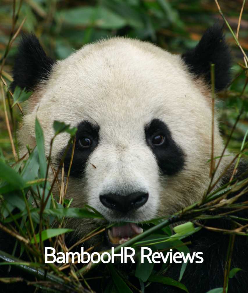 Everyone loves BambooHR. Or do they? Share your <a href="/bamboohr/">BambooHR</a>  experience in a short review. It will take 5min or less.

By completing a review, you have an opportunity to be selected to receive a $150 Amazon Gift Card
 
hrtechnologyadvice.com/hcm-review