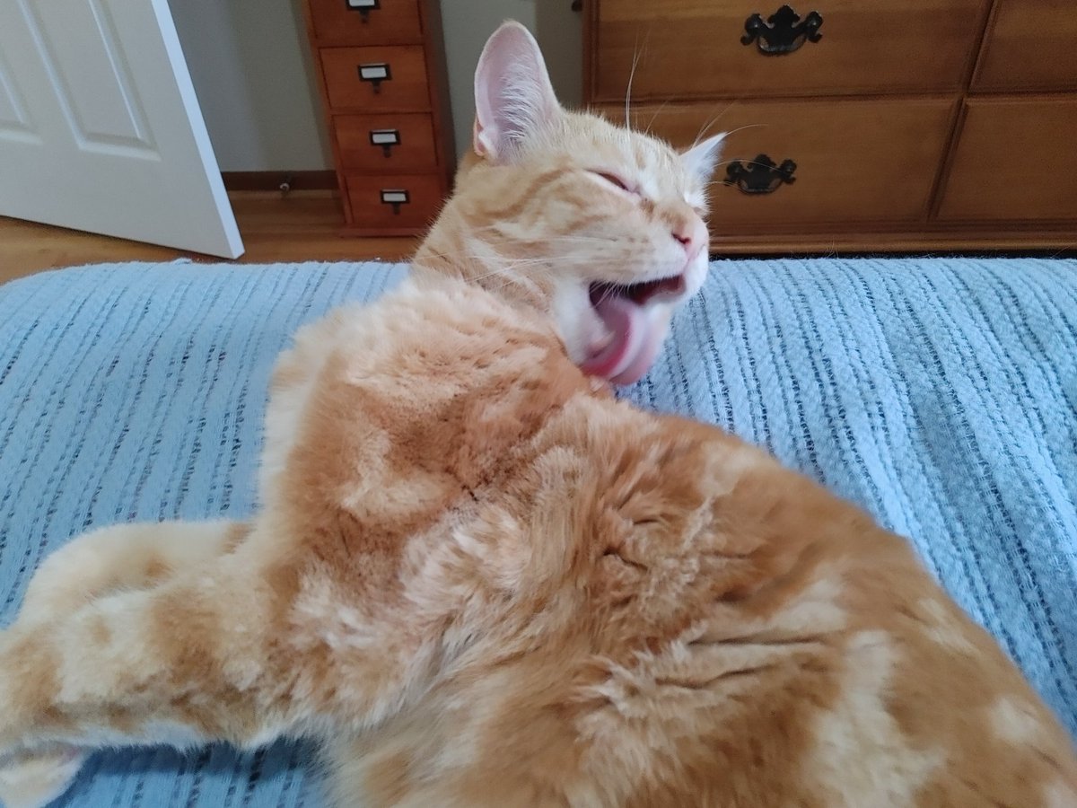 calvintheorange's tweet photo. BLARGLE SLORP! https://t.co/KsXC01GD0h