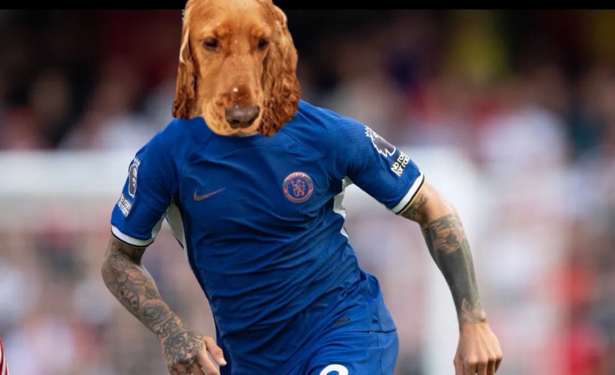 CarefreeJonty's tweet image. Been class this season tbf